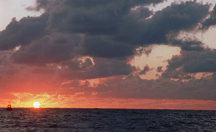 <br />
В Красном море нашли четыре новых острова<br />
