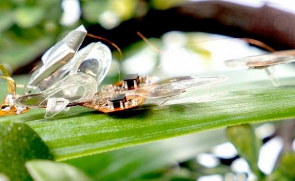 <br />
Ученые создали похожего на насекомое робота<br />
