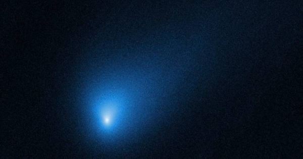 Пока мы отмечали Новый Год, в Солнечную систему ворвалась новая комета